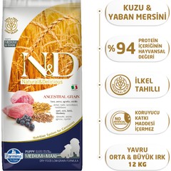 brand-icon