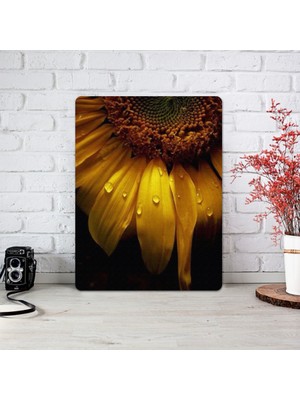 DecorLux Retro Style 30x40 Cm MDF Tablo CTB39