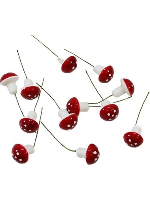 Dekorsende Teraryum Mantar 12 li