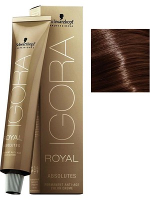 Igora Royal Absolutes 6-60 Koyu Kumral-Doğal Çikolata