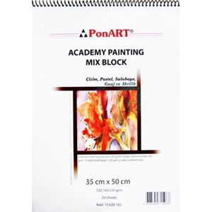 Academy Painting Blok Spralli Resim Defteri 35X50 Cm. 20 Yaprak