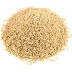 Ali Ünyazıcı Haşhaş Beyaz 500 gr