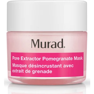 Pore Extractor Pomegranate Mask 50 gr - Nar Özlü Gözenek Arındırıcı Maske