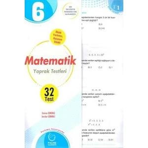 Palme Yayıncılık 6. Sınıf Matematik Yaprak Test