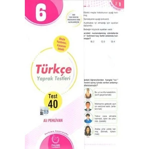 Palme Yayıncılık 6. Sınıf Türkçe Yaprak Test