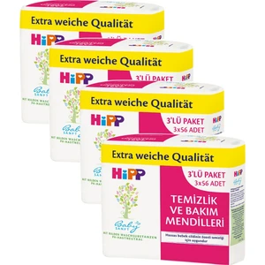 Temizlik ve Bakım Mendili 12 x 56'lı