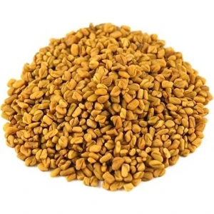 Hüdaverdi Arıcılık Çemen Otu Tohumu Kaliteli 1 kg
