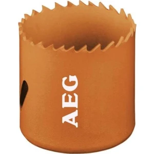 Aeg Panç Bi-Metal Profesyonel Seri 21Mm
