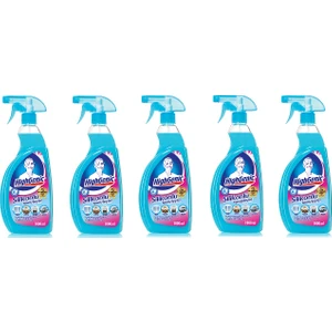 Highgenic Silikonlu Temizleyici 1000 ml 5Adet