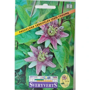 Passıflora Çarkıfelek Çiçek Tohumu