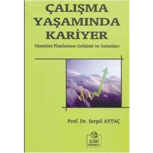 Çalışma Yaşamında Kariyer-Serpil Aytaç