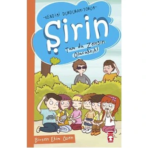Şirin: Tam Da Zengin Olacaktık - Birsen Ekim Özen