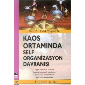 Kaos Ortamında Self Organizasyon Davranışı-Melek Vergiliel Tüz