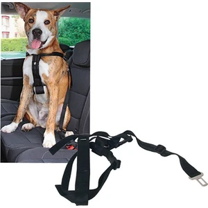 Emniyet Kemerli Köpek Tasması Medium