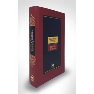 Ben Bir Kediyim - Natsume Soseki
