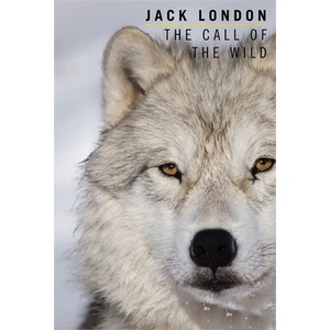 The Call Of The Wild-Jack London
