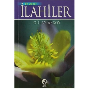 En Güzel İlahiler-Gülay Aksoy