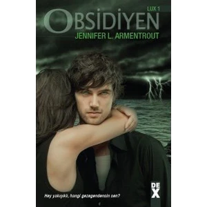 Obsidiyen  - Jennifer L. Armentrout