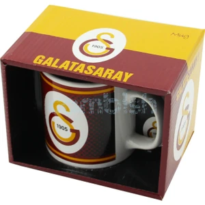 Galatasaray Lisanslı Taraftar Kupa