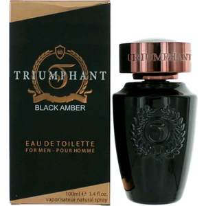 Black Amber Edt 100ML Erkek Parfüm