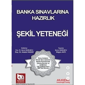 Akademi Consulting Training na Hazırlık - Şekil Yeteneği