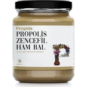 Propolis Zencefil Ham Bal 280 ml