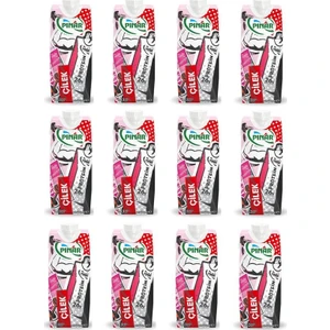 Çilekli Protein Süt 500 ml x 12 Adet