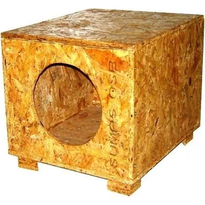 Kedi Evi