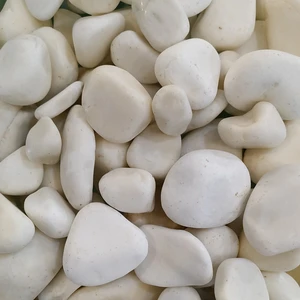 Dekor Dolomit Çakıl Orta Boy 1 Kg