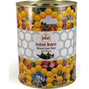 Fethiye Balevi Çam Balı Teneke 4,8 Kg