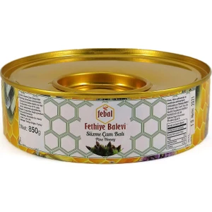 Fethiye Balevi Çam Balı Teneke 850 g