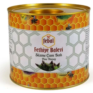 Fethiye Balevi Çam Balı Teneke 2800 gr