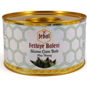 Fethiye Balevi Çam Balı Teneke 1850 g