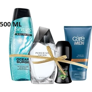 Perceive Erkek Parfüm 100 ml Edt 4 Lü Set