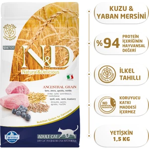 Düşük Tahıllı 1;5 kg Kuzu Etli Yaban Mersinli Yetişkin Kedi Maması