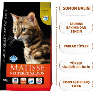 Neutered Salmon Kısırlaştırılmış Somonlu 10 kg Yetişkin Kuru Kedi Maması