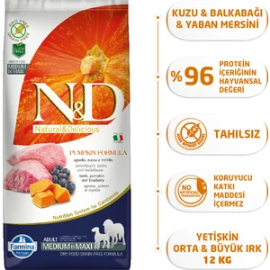Pumpkin Tahılsız Bal Kabaklı, Kuzu Etli Ve Yaban Mersinli Orta Ve Büyük Irk Yetişkin Köpek Maması 12 Kg