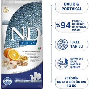 Düşük Tahıllı Ocean Morina Balıklı Portakallı Yetişkin Köpek Maması 12 kg