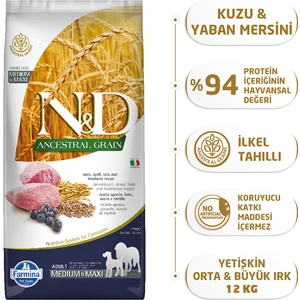 Kuzu Etli Yaban Mersini Düşük Tahıllı 12 Kg Yetişkin Köpek Maması