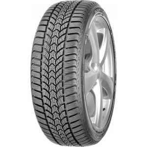 225/55 R17 101V XL Frigo Hp 2 Oto Kış Lastiği ( Üretim Yılı: 2023 )