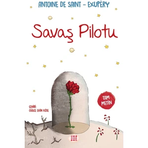 Savaş Pilotu