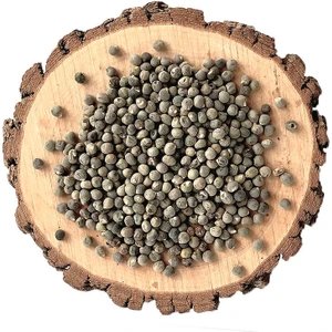 Bamya Tohumu 100 gr