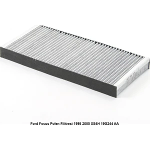 Ford Focus Polen Filitresi