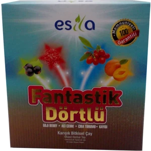 Fantastik Dörtlü Bitkisel Yaz Çayı 45 Süzen