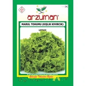 Kışlık Kıvırcık Marul Tohumu 10 gr