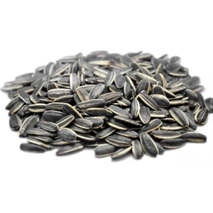 Ayvalık Baharat Dakota Çiğ (Tuzsuz) Çekirdek 250 gr