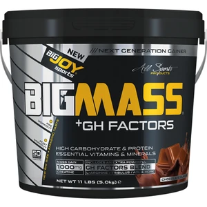 Bigjoy Big Mass Gh Factors 5 kg Çikolata