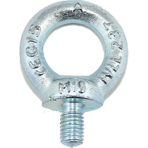 Erkek Aybolt