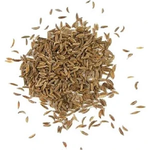 Maydanoz Tohumu 100 gr