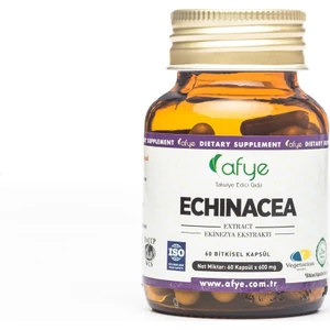 Echinacea Ekinezya Ekstraktı 60 Kapsül